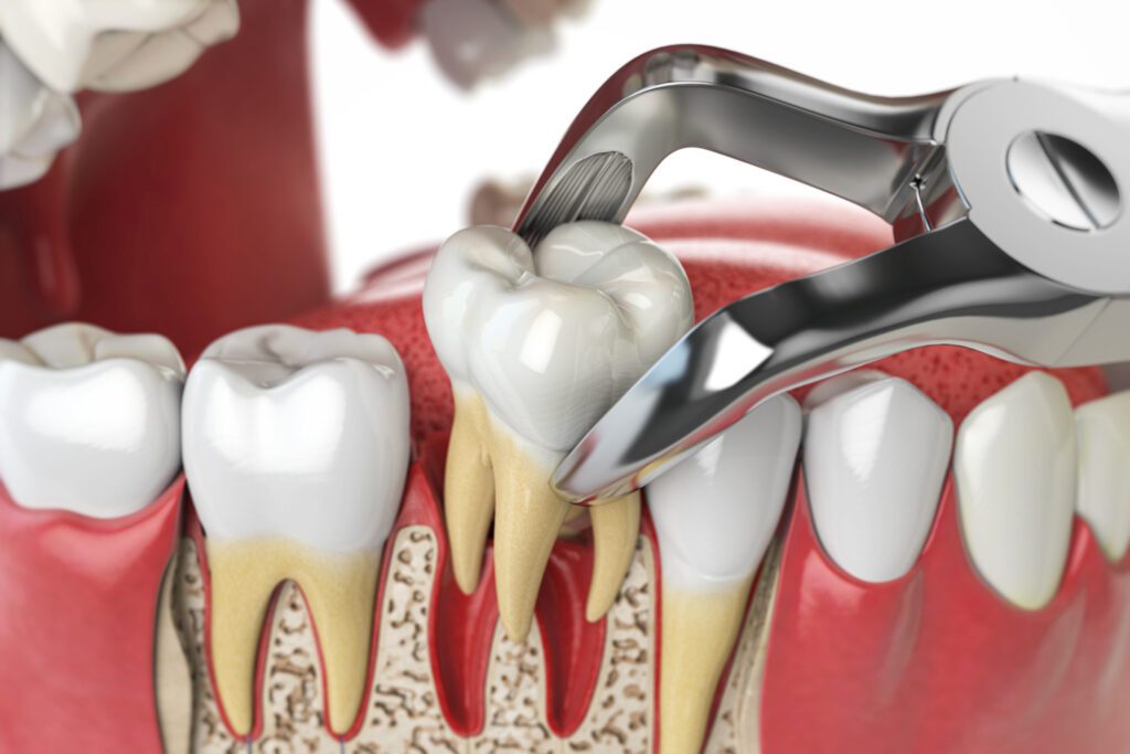 - My Dentist and Orthodontist